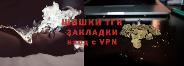 дживик Балахна