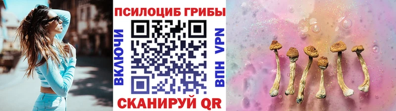 кракен вход  Астрахань  Псилоцибиновые грибы GOLDEN TEACHER  купить наркоту 